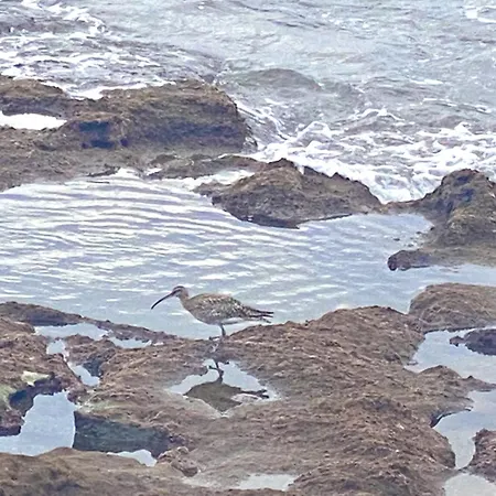 Tejita Sun Holidays By Deihu Experiences * Ελ Μέντανο