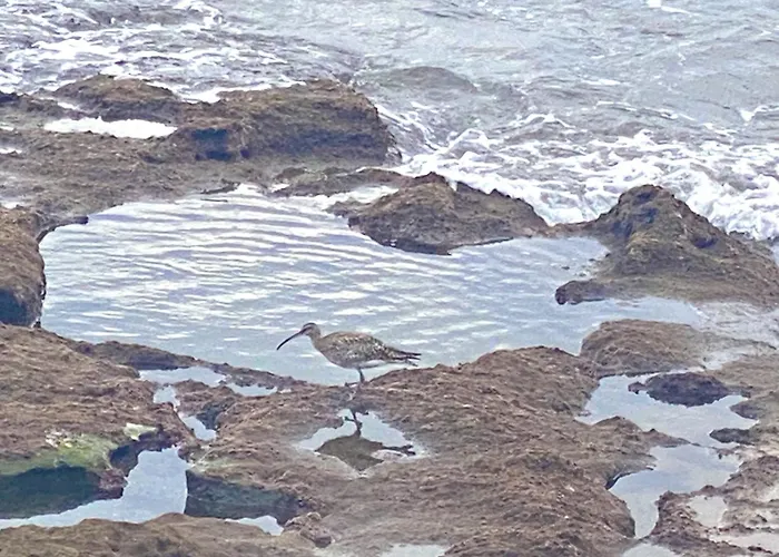 Tejita Sun Holidays By Deihu Experiences * エル・メダノ